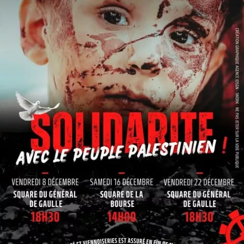 FlyerMulhouse 1 jpg À Mulhouse (68), solidarité avec le peuple palestinien