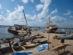 port de gaza Un point sur les pêcheurs de Gaza