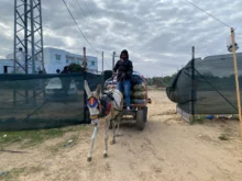 Témoignage d’Abu Amir, le 28 janvier 2024
