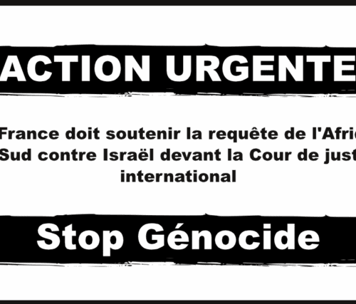 Génocide : soutenons l'Afrique du Sud contre Israël