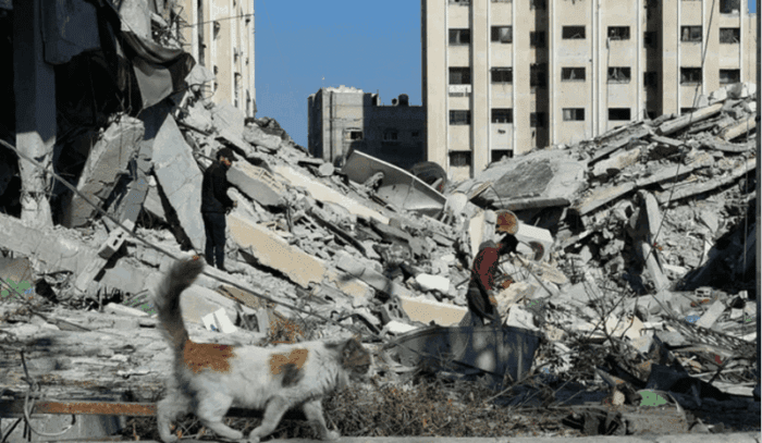 amira hass 26 1 24 Israël et Gaza, dans quelques années