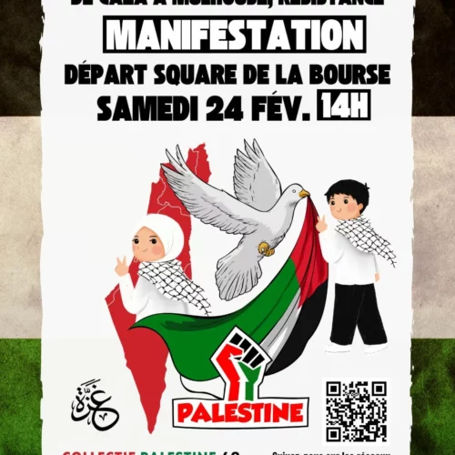 MANIFESTATION 003 jpg À Mulhouse (68), manifestation : "De Gaza à Mulhouse, résistance"