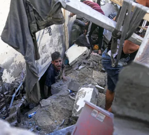 Zaitoun jpg Le génocide dans Gaza est la continuation du colonialisme sioniste de peuplement