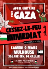 mulhouse903 jpeg À Mulhouse (68), rassemblement pour Gaza - Cessez-le-feu immédiat