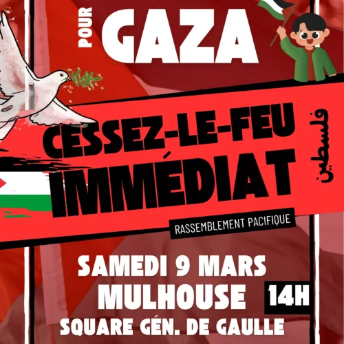 mulhouse903 jpeg À Mulhouse (68), rassemblement pour Gaza - Cessez-le-feu immédiat