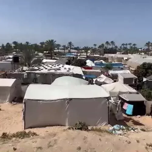 word image 66582 3 jpeg 1 Des nouvelles d’al-Mawasi…