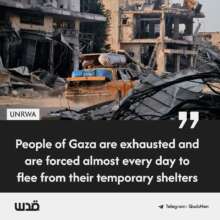 Où va l’humanité ? Réflexions d’Abu Amir, le correspondant de l’UJFP à Gaza, envoyées les 28 et 29 juillet 2024