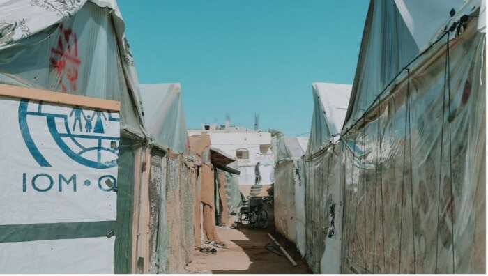 ouaknine 4 1 Gaza : malgré les horreurs, la société est toujours vivante