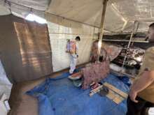 Témoignage d’Abu Amir, le 1er octobre 2024 : pulvérisations de pesticides dans les camps de déplacés – soutien psychologique pour les hommes