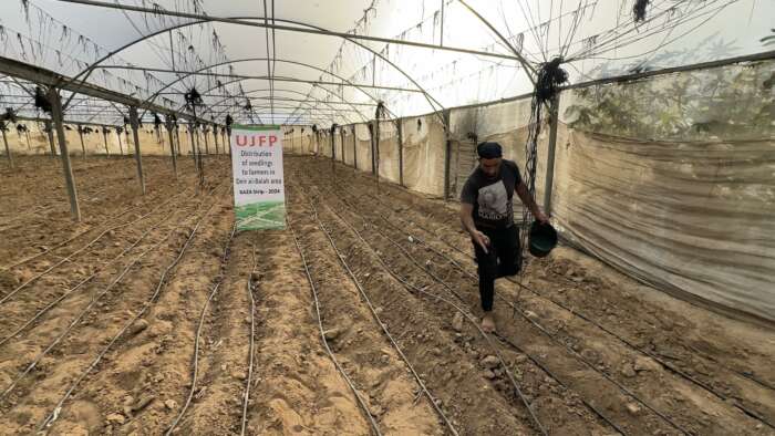 Abu Amir 17 10 24 semaille scaled 1 Témoignage d'Abu Amir, le 17 octobre 2024 : Distribution de plants, achat d’un générateur électrique pour les agriculteurs de la région de Deir al-Balah et désinfection d’un camp de déplacé.e.s