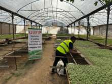 Témoignage d’Abu Amir le 9 octobre 2024 : soutien aux paysans pour la remise en culture dans la région de Deir al-Balah