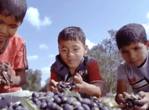 relgazastories2 Relançons les Gaza Stories. Il y a urgence à raconter ce qui se passe là-bas, à GAZA !