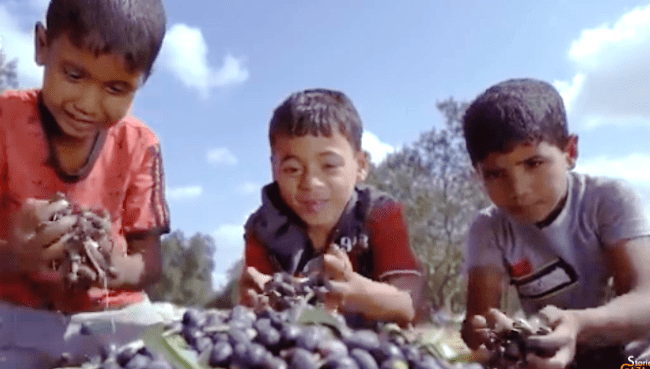 relgazastories2 Relançons les Gaza Stories. Il y a urgence à raconter ce qui se passe là-bas, à GAZA !