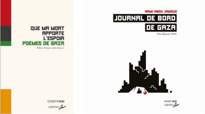 que ma mort et journal de bord RÉFLEXIONS BRÛLANTES DE GAZA