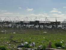 Analyse d’Abu Amir, le 19 février – Le secteur agricole : entre destruction et famine délibérée