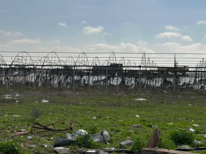 Abu Amir 19 2 25 serre detruites.jpeg Analyse d'Abu Amir, le 19 février – Le secteur agricole : entre destruction et famine délibérée