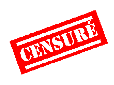 censure 3398403780 Harcèlement contre Willy Beauvallet, maître de conférence en Science politique à l'Université Lumière Lyon 2