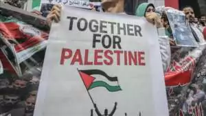 thumbs b c 524939a48dffc18ab202fbb9263ed789 Même si les dirigeants israéliens mettent le Proche-Orient à feu et à sang, nous serons toujours solidaires de Gaza.