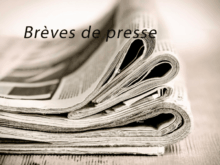 Logo breves de presse 800x600 1 BRÈVES DE PRESSE #25, le 25 octobre 2025 - Déclinaison du génocide (3), dystopie et écran de fumée