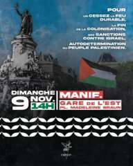 WhatsApp Image 2025 11 07 at 11.33.30 À Paris, manifestation pour un cessez-le-feu durable