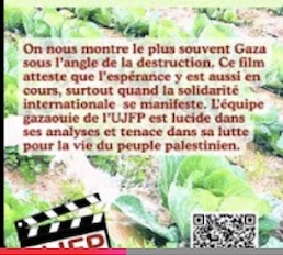 Gaza : une fine pointe d'espérance 7 Gaza une fine pointe despoir Gaza : une fine pointe d'espérance