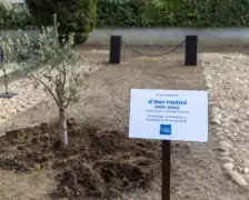 olivier Ilan Halimi scaled 1 Ilan Halimi, tué il y a vingt ans parce qu’il était juif !