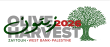 Olives harvest En octobre 2026, assurons une présence solidaire en Cisjordanie