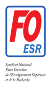logo fo 255 3 Défense de la liberté d’expression - Soutien réitéré à Julien Théry